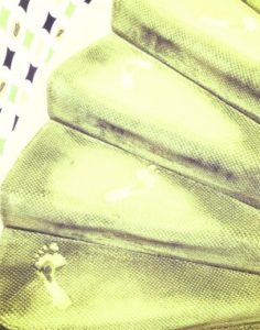 Rüyada mavi muhabbet kuşu eline almak - Hayırlı Rüyalar