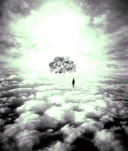 Rüyada fok balığı yavrusu görmek - Hayırlı Rüyalar